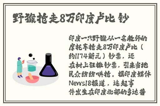 波多野结衣种子文件